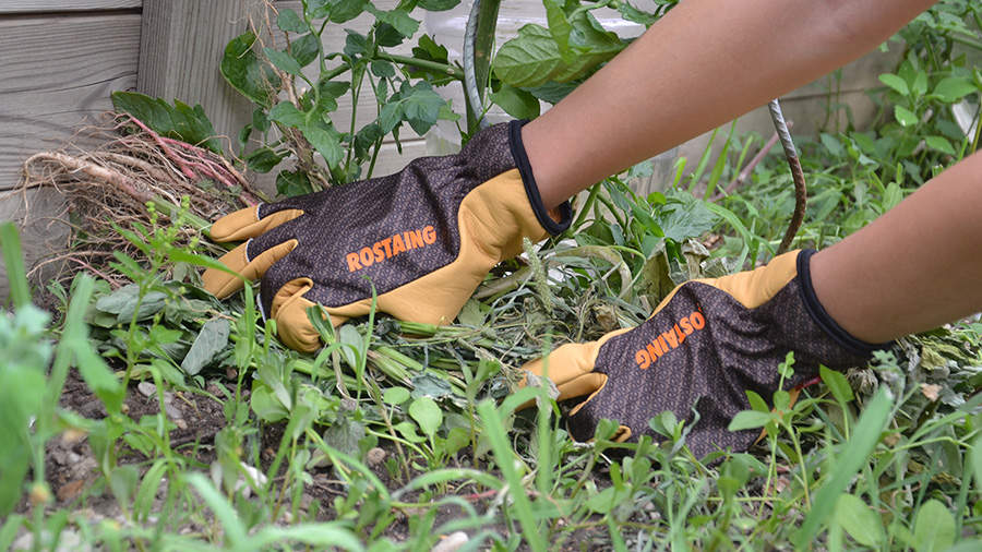 Gants de travail en cuir pour femme jardinier plantation, gants de jardinage  de protection durables, (vert)